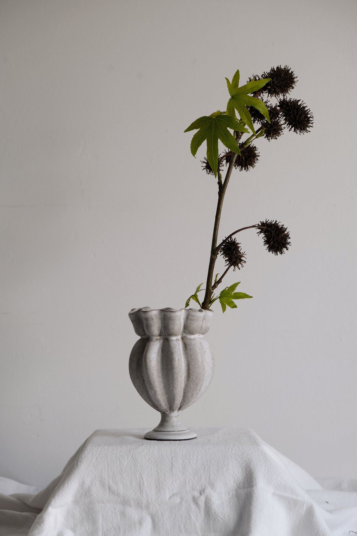 Moonrise Shell Nº20 Small Vessel