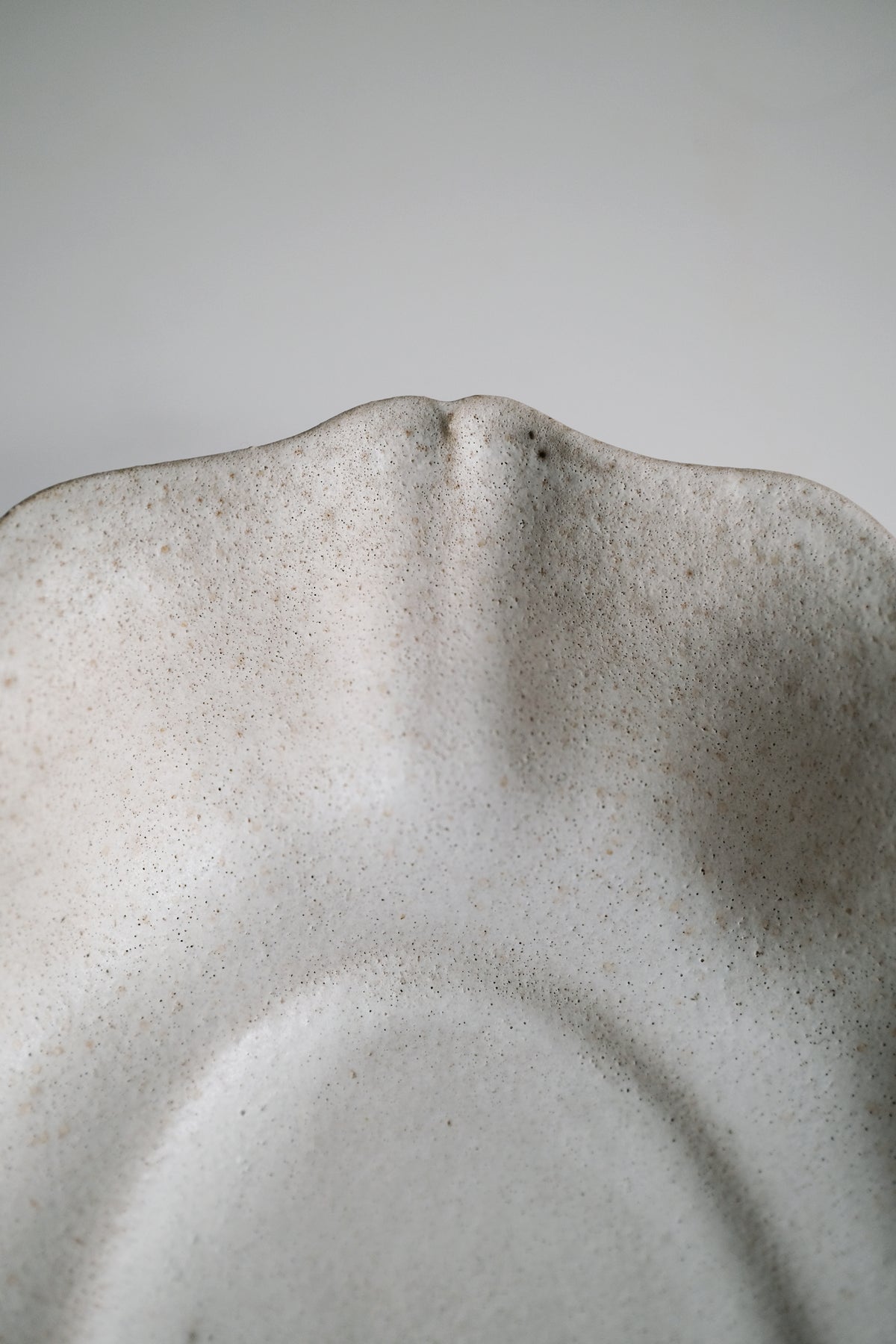 Moonrise Deep Plate, Shell