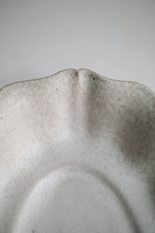 Moonrise Deep Plate, Shell