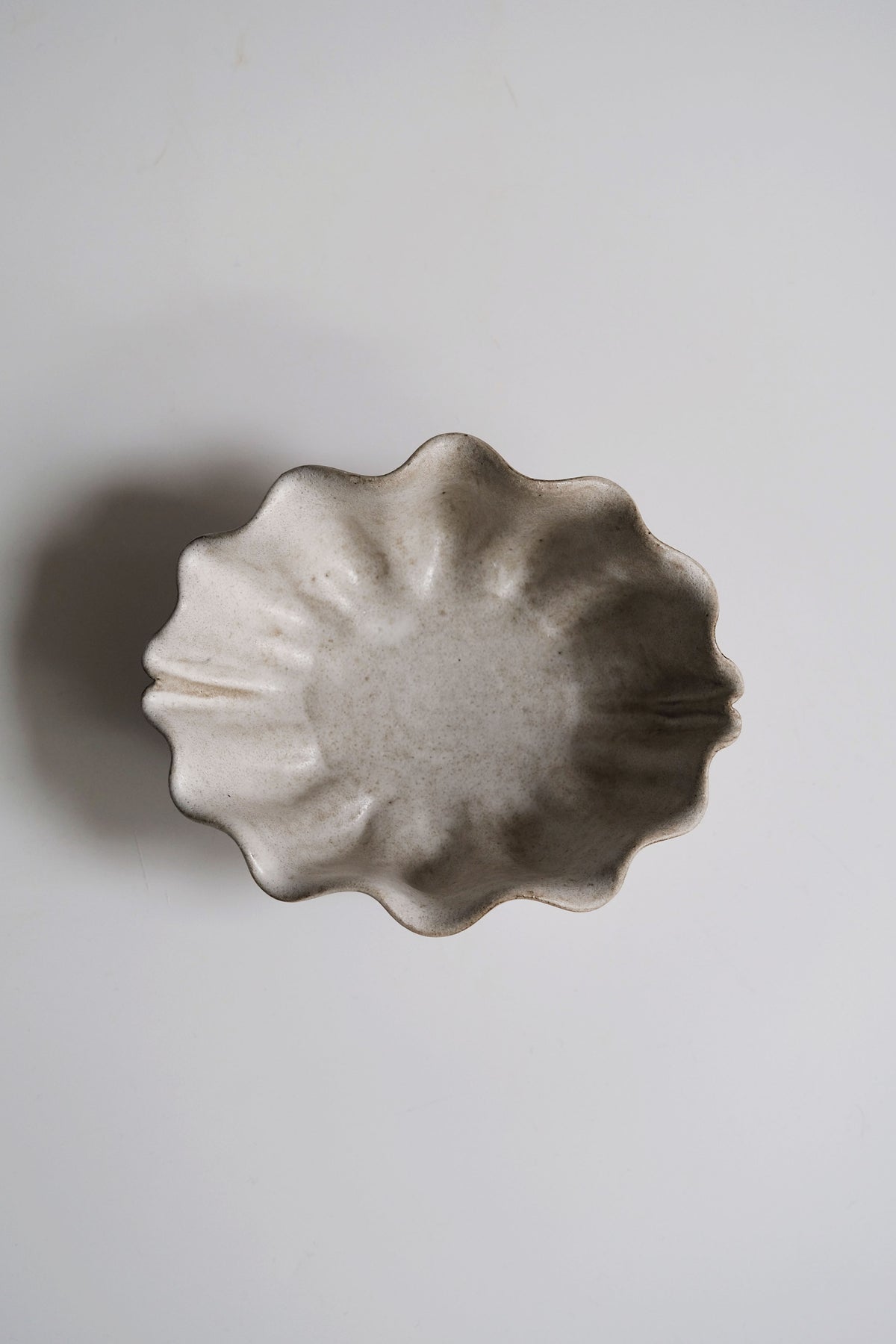 Moonrise Shell Nº33 Low Bowl