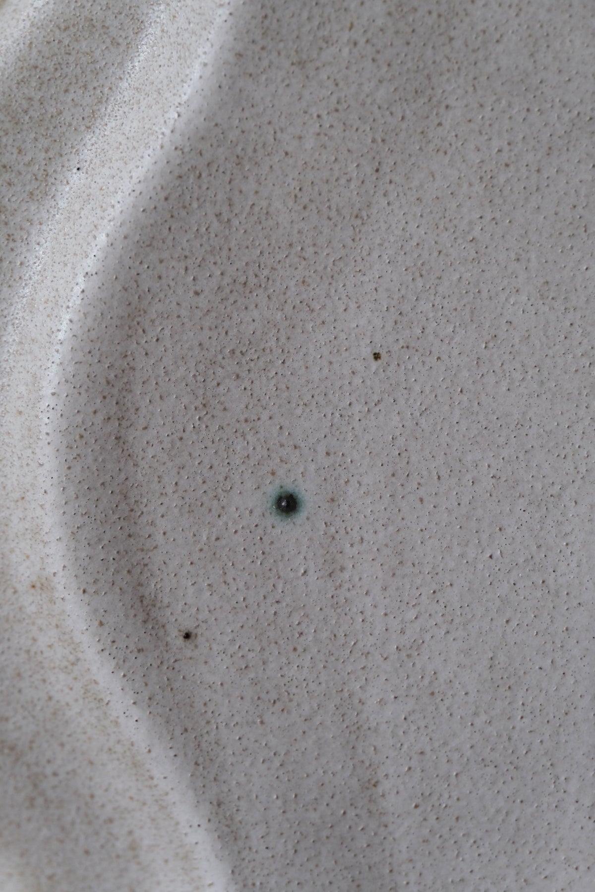 Moonrise Platter Medium, Shell (Seconds)