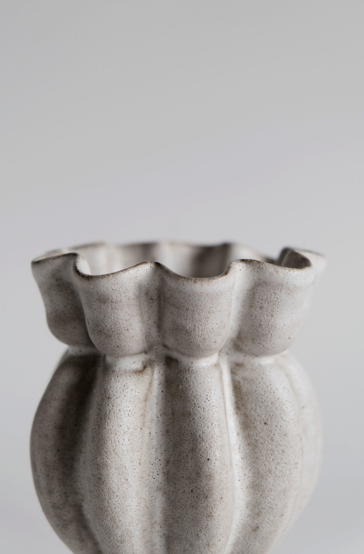 Moonrise Shell Nº20 Small Vessel